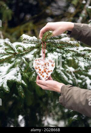 Junges Mädchen hängend eine herzförmige hausgemachte kleine Erdnusskuchen im Wintergarten. Helfen Sie Menschen zu Tieren Konzept. Speicherplatz kopieren. Stockfoto