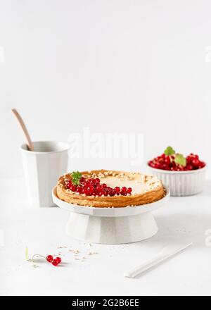 Hausgemachter köstlicher Vanillekäsekuchen mit frischen roten Johannisbeerbeeren. Stockfoto