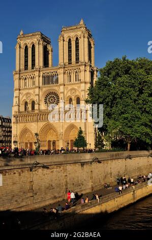 FRANKREICH, PARIS (75) 4. ARRONDISSEMENT, DIE QUAYS DER SEINE, ILE DE LA CITE, KATHEDRALE NOTRE-DAME Stockfoto