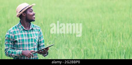 Afrikanischer Landwirt mit einer Tablette für die Forschung Reis in Bio-Farm Feld.Landwirtschaft oder Anbaukonzept Stockfoto