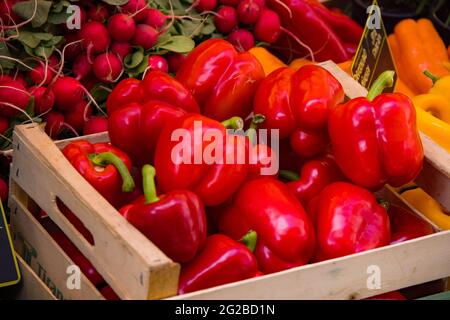 Frische Paprika und Chilischoten auf dem Markt - Reisefotografie Stockfoto