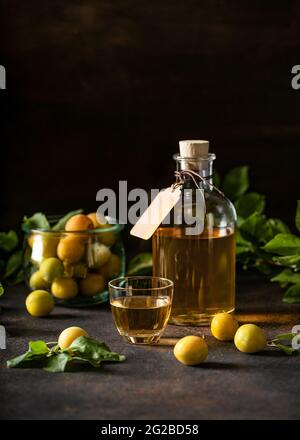 Hausgemachter Wein oder Likör aus gelber Kirschpflaume in einem kleinen Glas und reife Früchte auf dunklem Tisch. Stockfoto