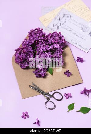 Bouquet von frischen lila Flieder Blumen in einem Handwerk Umschlag und rustikale Schere auf einem hellvioletten Hintergrund. Stockfoto