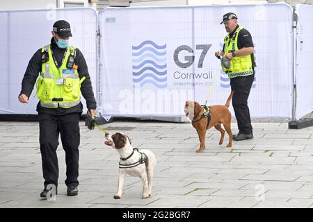 Polizeihunde mit Handlern im G7-Medienzentrum in Falmouth, vor dem G7-Gipfel in Cornwall. Bilddatum: Donnerstag, 10. Juni 2021. Stockfoto