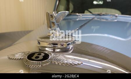 Nahaufnahme eines Bentley S1-Emblems auf der Motorhaube einer 1950 Flying Spur Luxuslimousine. Das Logo ist in Form eines Buchstaben B mit ausgebreiteten Flügeln gefertigt. Collectib Stockfoto