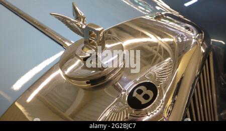 Nahaufnahme eines Bentley S1-Emblems auf der Motorhaube einer 1950 Flying Spur Luxuslimousine. Das Logo ist in Form eines Buchstaben B mit ausgebreiteten Flügeln gefertigt. Collectib Stockfoto