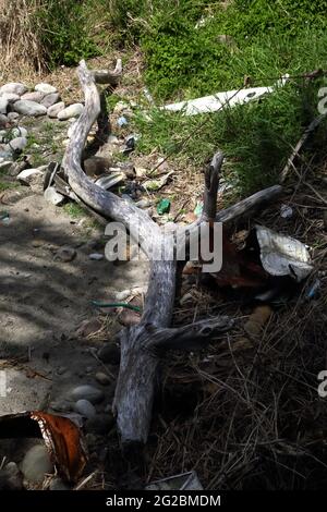 Grenada Treibholz und Müll am Strand in der Nähe von Gouyave Stockfoto