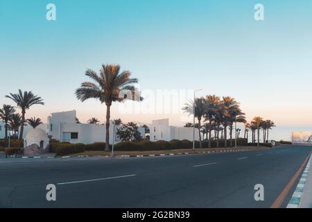 Palmen weiße Häuser und eine Straße auf dem Hintergrund des Meeres und der Berge. Naher Osten. Abend. Stockfoto