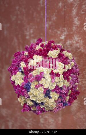 Arrangement Blumenfarben Magenta und Besh, hängend auf Hochzeit. Stockfoto