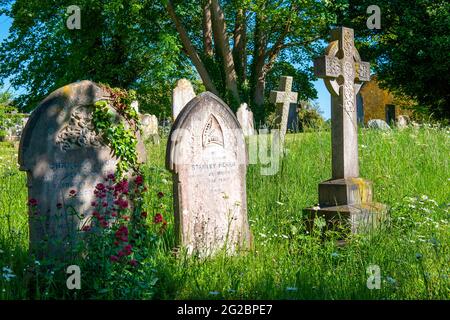 Alfriston, East Sussex, Großbritannien. Juni 2021. Grabsteine in der Sommersonne, umgeben von langem Gras in der St. Andrew's Pfarrkirche c Stockfoto