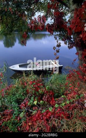 FRANKREICH. GIRONDE (33) WEIN AUS BORDEAUX. WEINBERG SAINT-EMILION. EIN BOOT AUF DEM FLUSS DORDOGNE IN DER NÄHE DES DORFES SAINT-SULPICE-DE-FALEYRENS Stockfoto