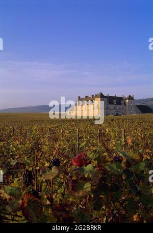 FRANKREICH. COTE D ODER (21) BURGUND. BURGUND UND COTE DE NUITS WEINBERG. CHATEAU CLOS DE VOUGEOT Stockfoto