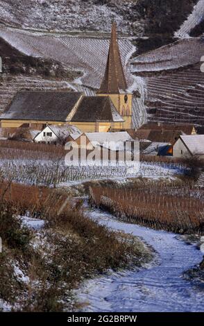 FRANKREICH. HAUT-RHIN (68) ELSASS REGION. STRASSE DER WEINE. DORF NIEDERMORSCHWIHR UNTER DEM SCHNEE Stockfoto