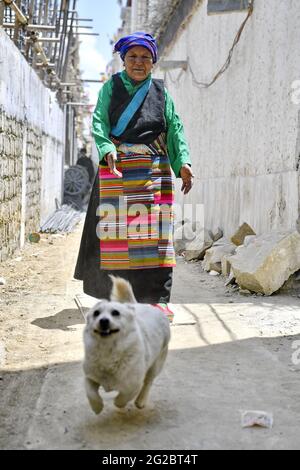 (210610) -- LHASA, 10. Juni 2021 (Xinhua) -- YangChung geht mit ihrem Hund in Xigaze, südwestlich der Autonomen Region Tibet, am 30. April 2021. YangChung, der fast 80 Jahre alt ist, arbeitete einst als Leibeigene vor der demokratischen Reform in Tibet im Jahr 1959. Als älteste Tochter einer armen Familie litt YangChung sehr unter dem alten Tibet. Als sie erst 8 Jahre alt war, begann sie als Dienerin eines Leibeigenen zu arbeiten. Tagsüber hütete sie Rinder und Schafe und erledigte Aufgaben, während sie nachts nur im Schafstall oder in der Ecke der Küche schlafen konnte. Fertig mit der Not, YangChung laufen awa Stockfoto