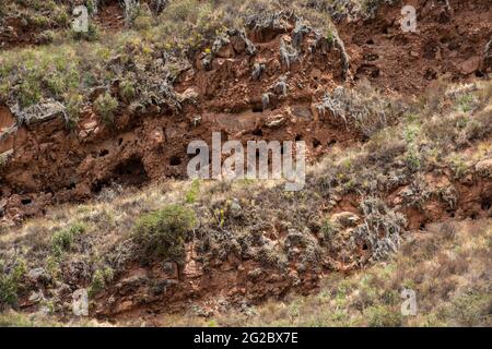 Archäologischer Park Pisac, Calca, Cuzco, Peru am 9. Oktober 2014. Ruinen und Touristenbesichtigungen. Stockfoto