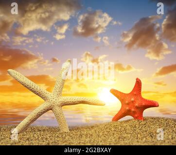 Zwei Seesterne am Sandstrand bei Sonnenuntergang. Stockfoto