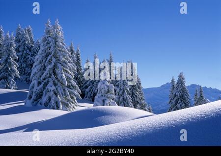 FRANKREICH, SAVOIE (73) BEAUFORTAIN, SKIGEBIET ESPACE DIAMANT, SKIGEBIET LES SAISIES Stockfoto