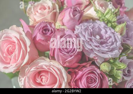 Bouquet von pastellfarbenen rosa und lila Rosen, Nahaufnahme Stockfoto