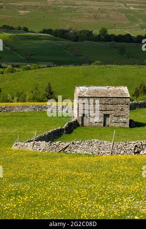 Blauer Himmel; großbritannien; britische Inseln; Land; david; Trockensteinmauern; Feldscheune; Scheunen; Felder; Heuwiese; Heuwiesen; Wildblumenwiesen; Mo Stockfoto