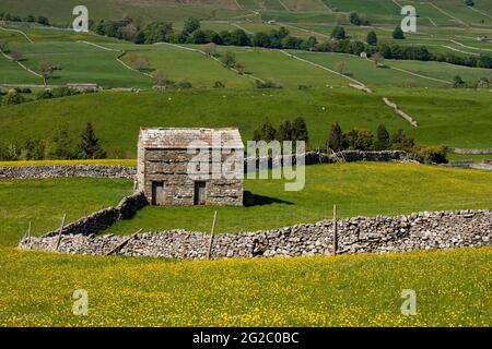 Blauer Himmel; großbritannien; britische Inseln; Land; david; Trockensteinmauern; Feldscheune; Scheunen; Felder; Heuwiese; Heuwiesen; Wildblumenwiesen; Mo Stockfoto