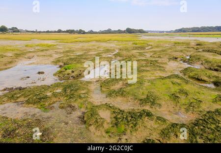 Schmuggler Lane und Fähre harte Gezeitengebiete Salzwiese bei Ebbe, Bosham, ein kleines Dorf in Chichester Harbour, West Sussex, Südküste Englands Stockfoto