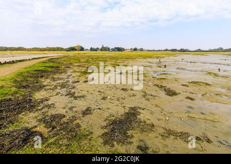 Schmuggler Lane und Fähre harte Gezeitengebiete Salzwiese bei Ebbe, Bosham, ein kleines Dorf in Chichester Harbour, West Sussex, Südküste Englands Stockfoto