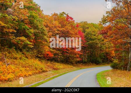 Zweispurige Straße durch den wunderschönen Blue Ridge parkway, Appalachian Bergkette im Herbst. USA. Stockfoto