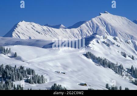 FRANKREICH, SAVOIE (73) VAL D'ARLY UND BEAUFORTAIN, SKIGEBIET ESPACE DIAMANT, SKIGEBIET LES SAISIES, DER WEG DER CRETES UND DER AIGUILLES CROCHES M Stockfoto