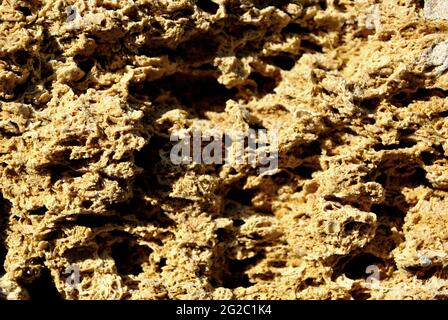 Crimean coquina Rock Nahaufnahme Textur Hintergrund Stockfoto