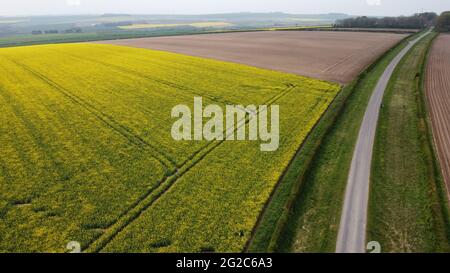 Luftaufnahme der ländlichen Felder, Kiplingcoates, Vale of York, East Riding of Yorkshire, England, Großbritannien Stockfoto