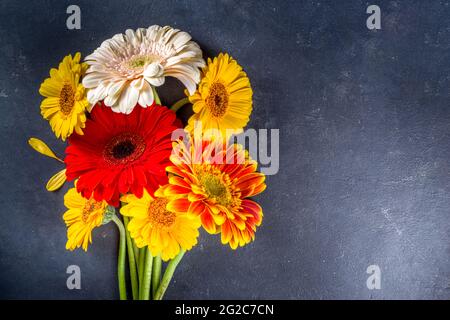 Zurück zur Schule. Grußkarte für den Lehrertag. Herbstfarben rot gelb orange Gerbera Blumen Bouquet mit Kreide auf schwarzem Kreidetafel Hintergrund Kopie Spa Stockfoto