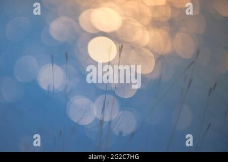 Bokeh-Effekt, Licht blinkt im Wasser bei Sonnenuntergang, La Pampa, Patagonien, Argentinien. Stockfoto