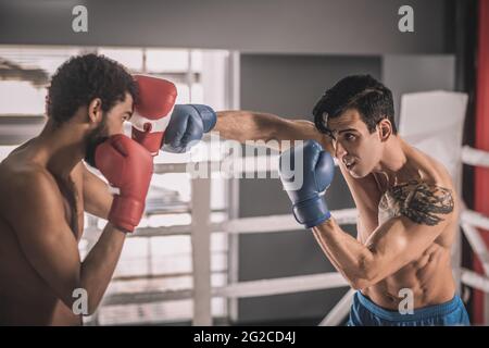 Zwei junge Boxer, die ein Workout machen und mitwirken Stockfoto
