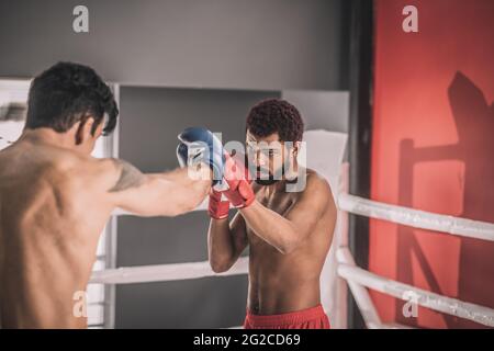 Zwei junge Boxer, die ein Workout machen und mitwirken Stockfoto