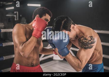 Zwei Kickboxer kämpfen auf einem Boxring und sehen aggressiv aus Stockfoto