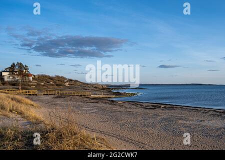 Goldenes Licht im Sonnenuntergang an einem Meeresstrand. Blauer Himmel und Meer im Hintergrund. Bild von der schwedischen Westküste Stockfoto