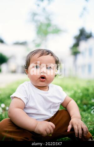 Das kleine Mädchen mit Kamille hinter ihrem Ohr sitzt auf grünem Gras Stockfoto