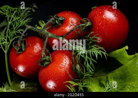 Vier sehr frische, rote, süße und saftige Kirschtomaten mit Gemüse, Salat und Dill. Direkt aus dem Garten, bedeckt mit Wassertropfen. Gourmet-Foto Stockfoto