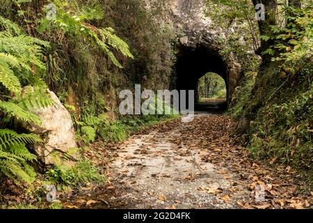 Holzbrücke auf dem Bear Trekkingweg im Herbst. Teverga, Asturien, Spanien. Stockfoto