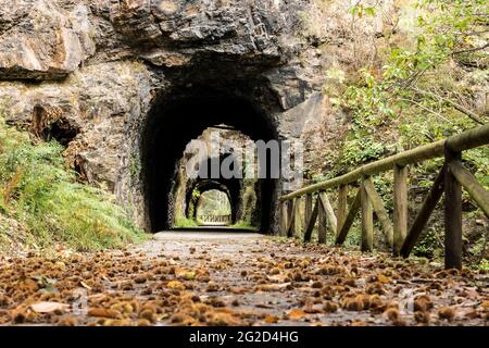 Tunnel im Herbst auf dem Bear Trekkingweg. Teverga, Asturien, Spanien. Stockfoto