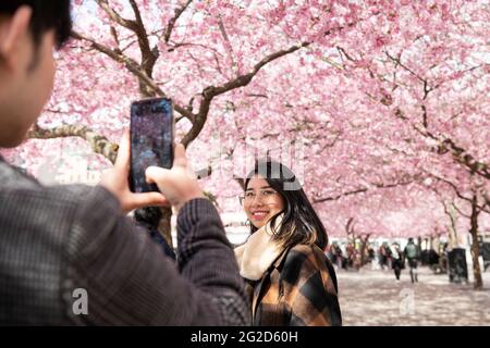 Mann fotografiert Frau gegen Kirschblüte Stockfoto