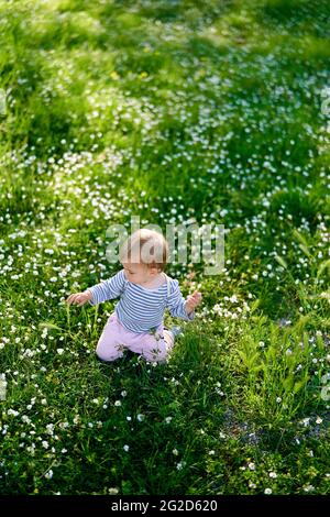 Das Kind sitzt auf den Knien in der Mitte einer Blumenwiese. Blick von oben Stockfoto