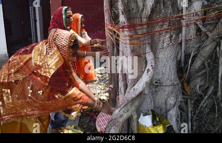 Guwahati, Guwahati, Indien. Juni 2021. Verheiratete Frauen der Bihari-Gemeinschaft beten am Donnerstag, den 10. Juni 2021, in der Nähe eines Banyan-Baumes anlässlich der VAT Savitri puja in Guwahati Assam India. MwSt. Savitri puja ist ein Hindu-Festival, das von der indischen Bihari-Gemeinschaft zum wohl ihres Mannes aufgeführt wird.Quelle: Dasarath Deka/ZUMA Wire/Alamy Live News Stockfoto