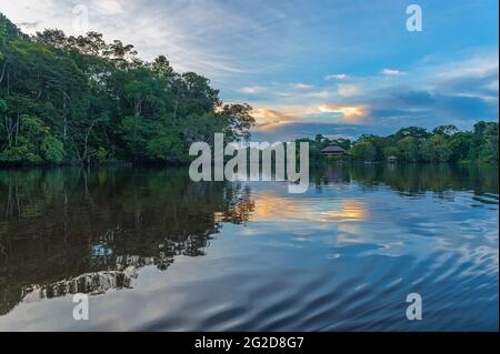 Amazonas-Fluss Regenwald Sonnenuntergang Reflexion. Amazonas-Dschungel befindet sich in Brasilien, Bolivien, Kolumbien, Ecuador, Französisch-Guyana, Peru, Surinam, Venezuela. Stockfoto