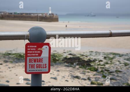 St Ives, Großbritannien. Juni 2021. Möwen sind in St. Ives, wo der G7-Gipfel stattfindet, eine allgegenwärtige Bedrohung. Kredit: Sarah Peters/Alamy Live Nachrichten Stockfoto