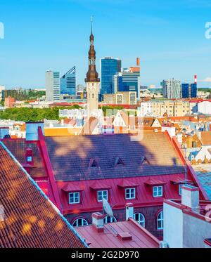 Skyline von Tallinn mit moderner und traditioneller Architektur, Estland Stockfoto