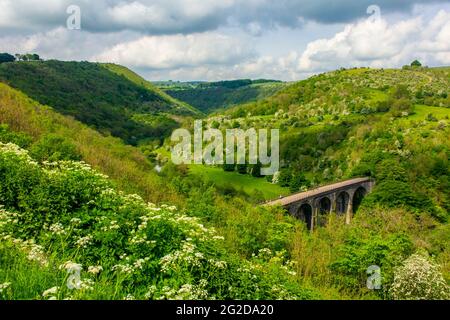 Frühsommer bei Monsal Head ein beliebter Aussichtspunkt im Peak District National Park Derbyshire England UK mit Monsal Viadukt im Vordergrund. Stockfoto