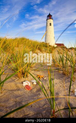 Great Point Leuchtturm mit Muscheln eingebettet in Seegräser, Nantucket Island, Massachusetts, USA Stockfoto