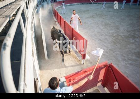 Bilder aus der römischen Arena / Amphitheater in Arles vom Stierkampf-Sport. Stockfoto