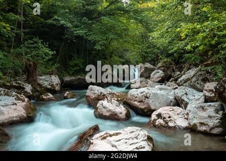 Wunderschöne Wasseroase mit sauberen Wasserbächen und Felsen, die im Wald versteckt sind Stockfoto